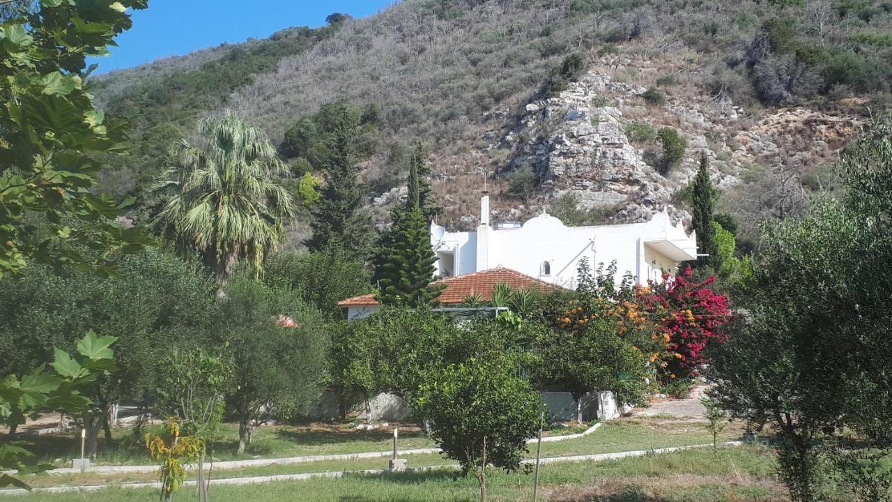 Villa Dunes 350M From The Sandy Beach Kalogria  Dış mekan fotoğraf