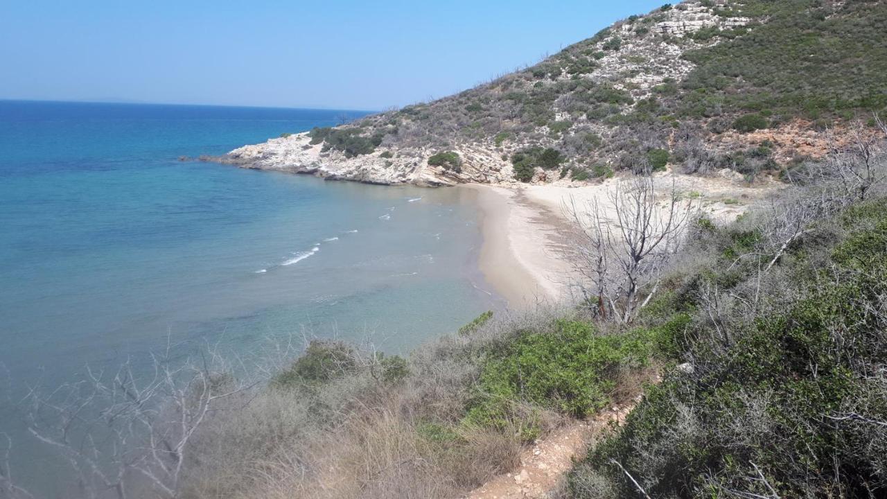 Villa Dunes 350M From The Sandy Beach Kalogria  Dış mekan fotoğraf