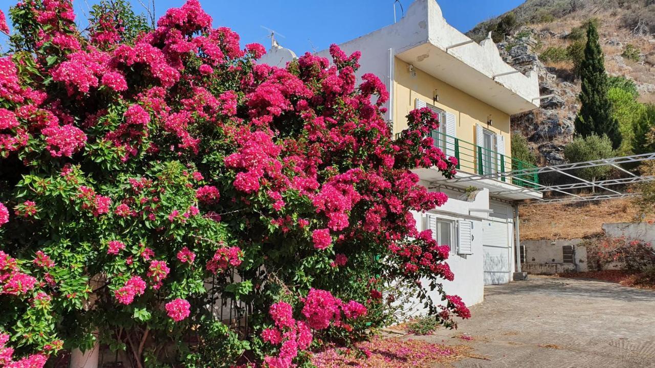 Villa Dunes 350M From The Sandy Beach Kalogria  Dış mekan fotoğraf