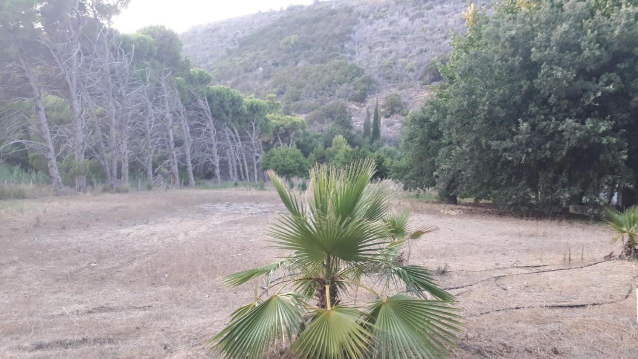Villa Dunes 350M From The Sandy Beach Kalogria  Dış mekan fotoğraf