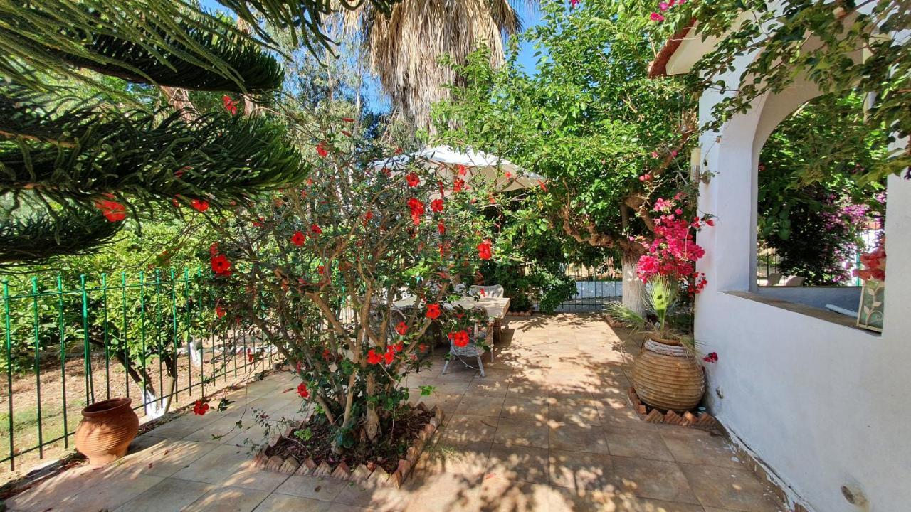 Villa Dunes 350M From The Sandy Beach Kalogria  Dış mekan fotoğraf