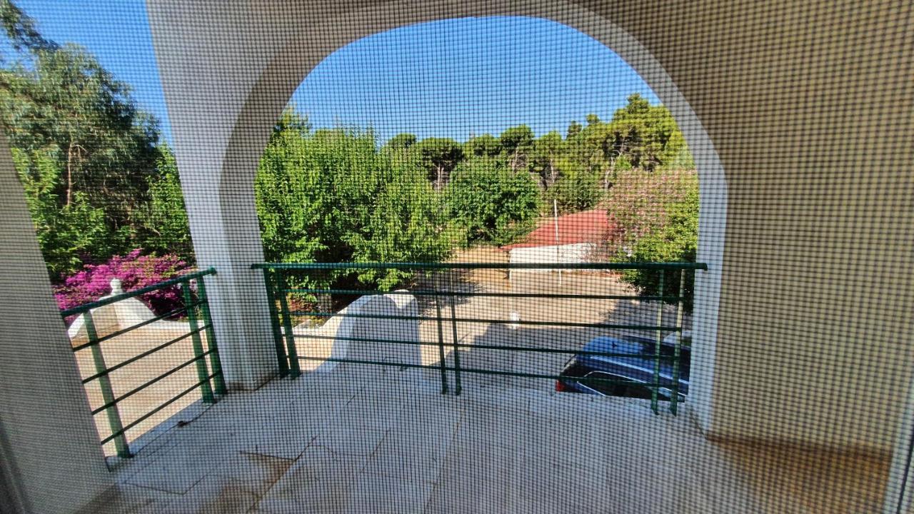 Villa Dunes 350M From The Sandy Beach Kalogria  Dış mekan fotoğraf
