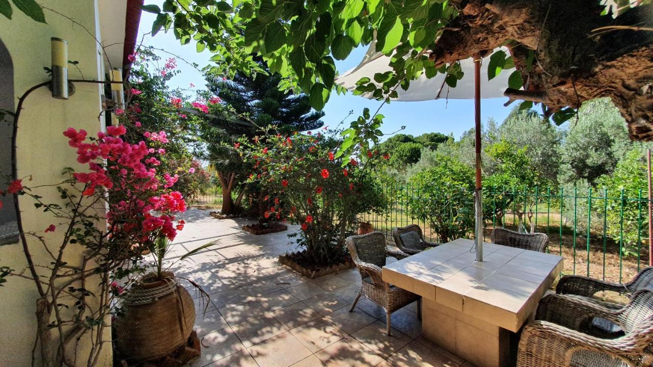 Villa Dunes 350M From The Sandy Beach Kalogria  Dış mekan fotoğraf