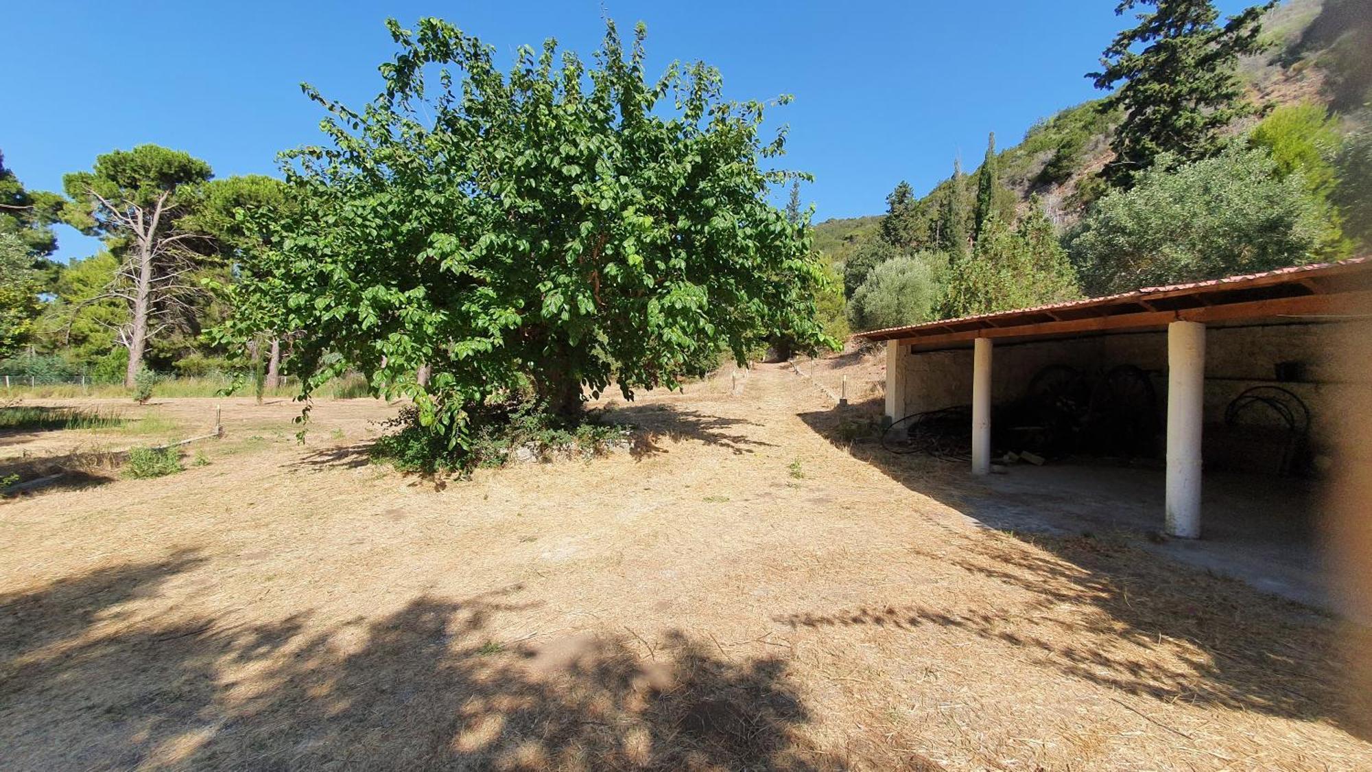 Villa Dunes 350M From The Sandy Beach Kalogria  Dış mekan fotoğraf