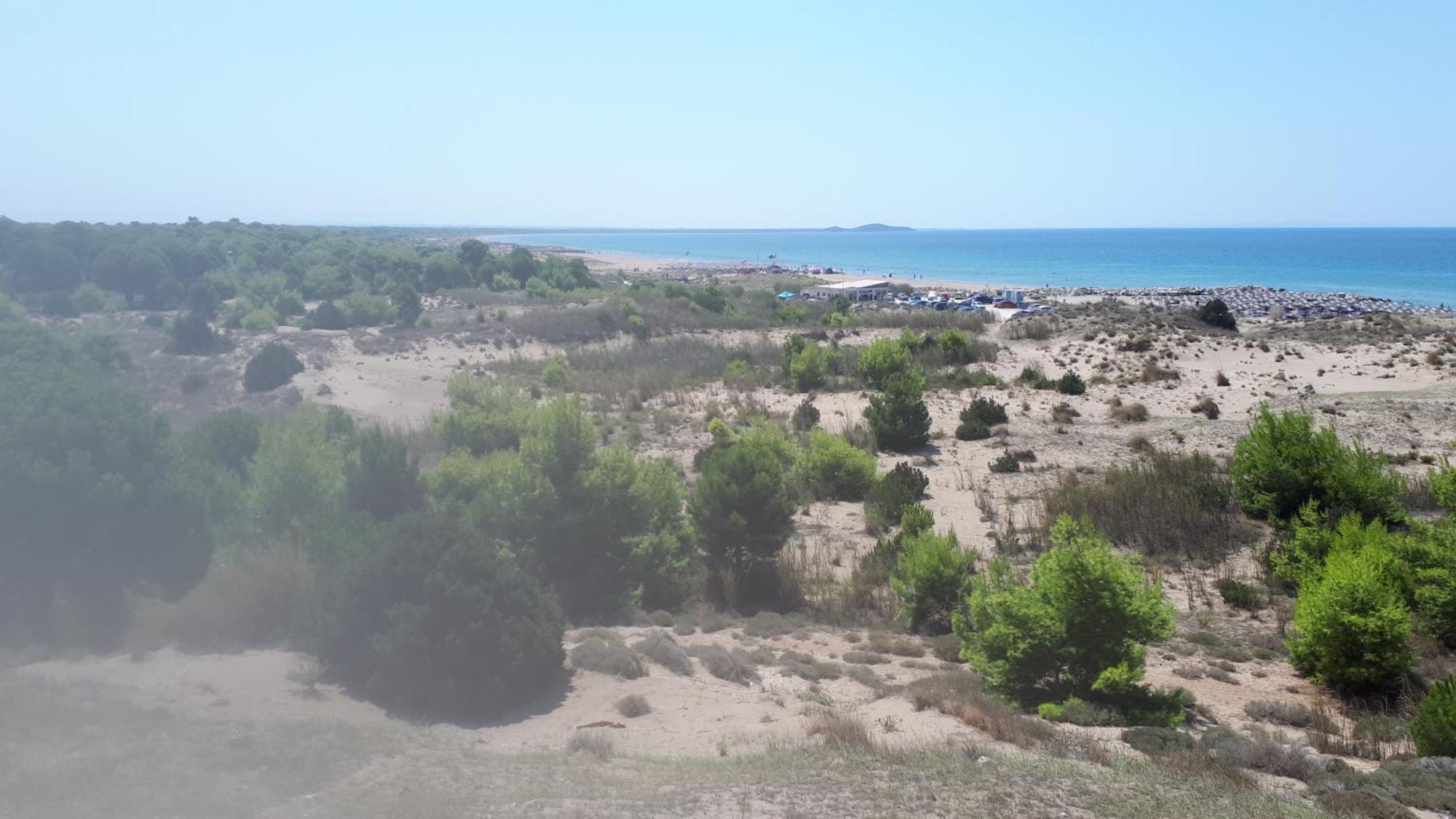 Villa Dunes 350M From The Sandy Beach Kalogria  Dış mekan fotoğraf